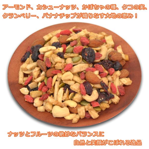 大地の恵みナッツ フルーツ ５袋 50個入り 豆菓子付き Buyee Buyee Japanese Proxy Service Buy From Japan Bot Online