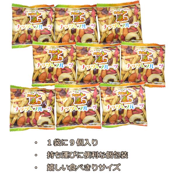 大地の恵みナッツ フルーツ ５袋 50個入り 豆菓子付き Buyee Buyee Japanese Proxy Service Buy From Japan Bot Online