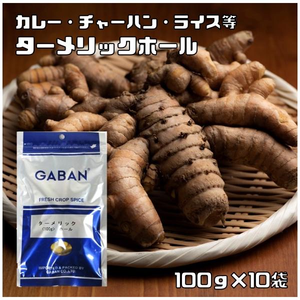 ターメリックホール 100g×10袋 GABAN スパイス 香辛料 シード 粒 業務