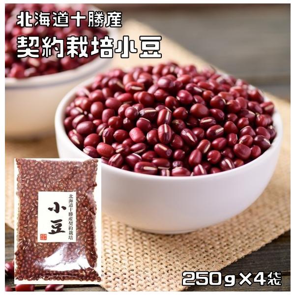 小豆 1kg 豆力 契約栽培 北海道 十勝産 国産 国内産 徳用 乾燥小豆