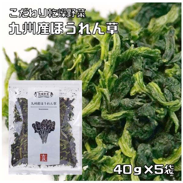 ★九州産のほうれん草をじっくりと乾燥させた干し野菜です。あともう一品という時に重宝するお野菜です。青物野菜特有の臭いやアクがなく食べやすいのが特徴です。忙しい主婦や一人暮らしの方に人気の乾燥野菜です。簡単便利で保存がきくのが特徴です。独自の...