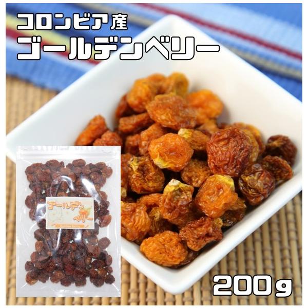 初回特典付 無添加100 ゴールデンベリー 100g 6袋セット ダイエット ほおずき インカベリー サプリ ドライフルーツ スープ スムージー 送料無料 日本最大級 Www Iacymperu Org