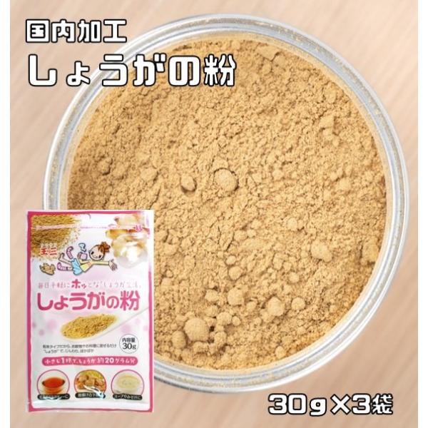 しょうがの粉 30ｇ×3袋 こなやの底力 （メール便）生姜 粉末タイプ ジンジャーパウダー 生姜粉 国内加工 玉三 生姜パウダー