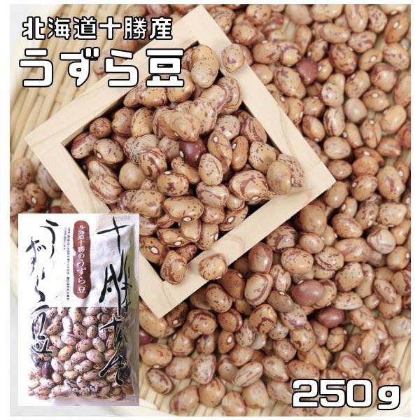 うずら豆 250g 豆力 北海道十勝産 （メール便）北海道産 アサヒ食品工業 うずら 国産 国内産 徳用 乾燥豆 手料理 手作り 煮豆用
