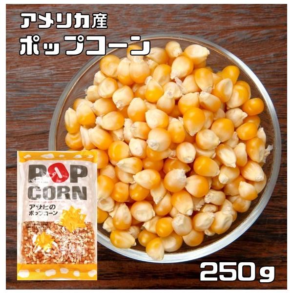 業務用 ポップコーン 1kg アメリカ産 おやつ おつまみダイエット imgrc0084890916.jpg