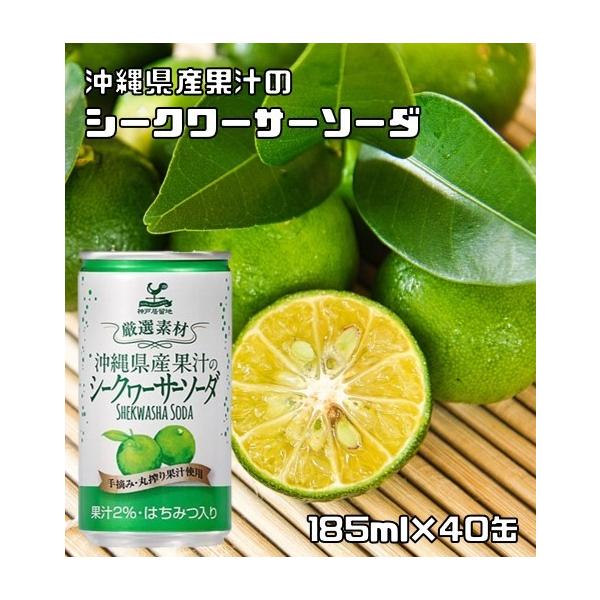 沖縄県産　シークヮーサー　10kg 沖縄県産100%シークヮーサー 原液・500ml | 南都物産株式会社