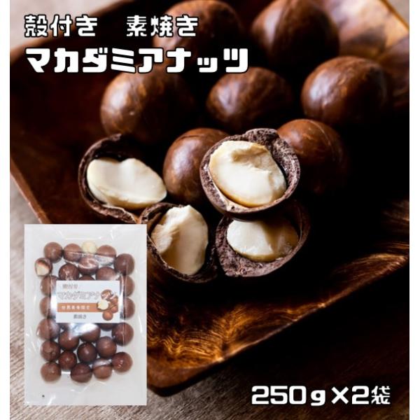 マカダミアナッツ 殻付き 素焼き 250ｇ×2袋 世界美食探究 （メール便）ナッツ 希少 殻 ベトナム産 おやつ 無塩 無油