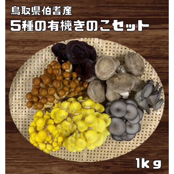 ★有機栽培で大切に育てた椎茸、平茸、なめこ、タモギタケ、キクラゲの詰め合わせセットです。伯耆のきのこはさまざまなきのこを、地域の自然を活かし、地域の人たちの手によって生産しています。きのこはすべて無農薬で栽培し、有機JASを取得しています。...