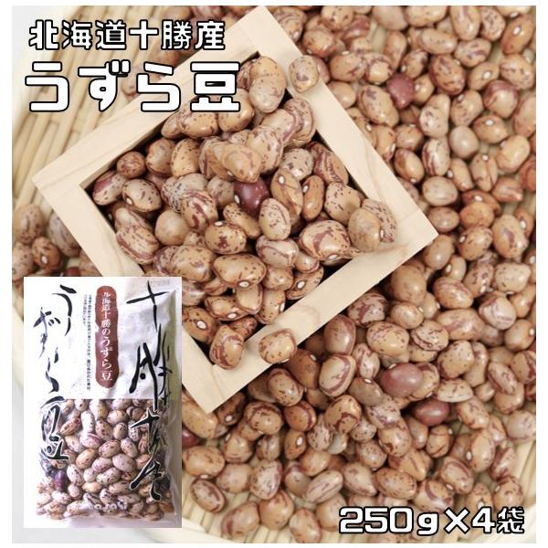 ★栽培履歴管理商品のうずら豆です。★うずらまめの名は種皮の模様が鶉（うずら）の卵に似ていることに由来します。うずらまめは、煮豆や甘納豆の原料として用いられています。★豆類には、食物繊維、サポニン、ポリフェノール等の機能性成分が多く含まれてお...