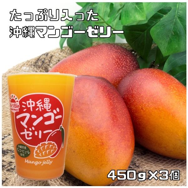 沖縄マンゴーゼリー 450g×3個 フルーツ日和 北海道物産 プチギフト