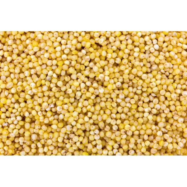 �������� 1kg ���� ���Y �����Y �� ���� �G�� �H���@�� ���� ���N ���e �h�{ ���N�H�i ��i �G���� ���{ ���� �S�� �㎿ �H�i ���i�摜1