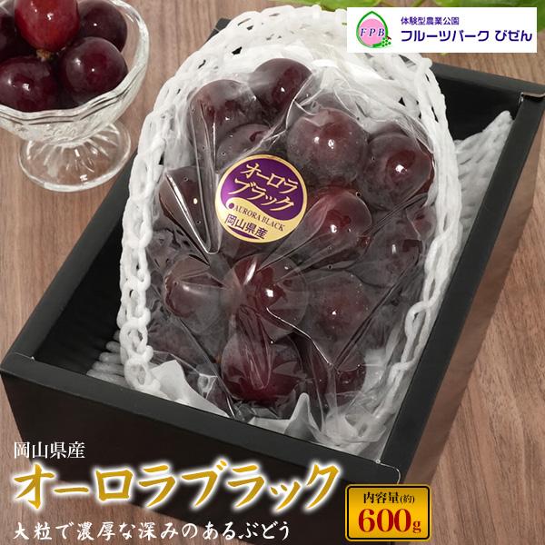 岡山県産 オーロラブラック 1房 約600g 平均糖度17-18度 国産 ブドウ