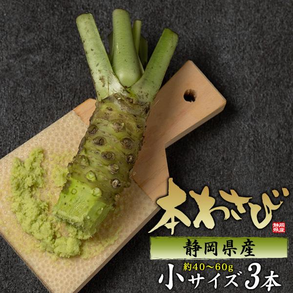 3本セット 静岡県産 本わさび 小サイズ 約40〜60g×3本 国産 ワサビ