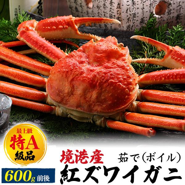 最上級 特A級品 茹で 紅ズワイガニ 1杯 (600g前後) A級品 ボイル 最上級 特A級品 茹で 紅ズワイガニ 1杯 (600g前後) A級品 ボイル
