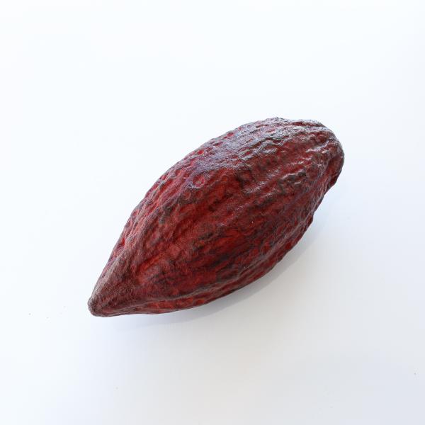 taberemasen_tbr-cacao-db