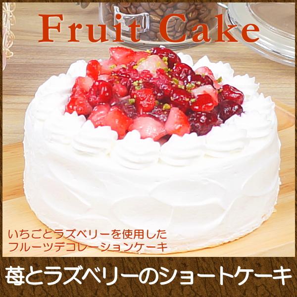 誕生日ケーキ バースデーケーキ生クリーム デコレーションケーキ 5号子供[凍]送料無料 いちご 生クリーム ケーキ 誕生日 ギフト