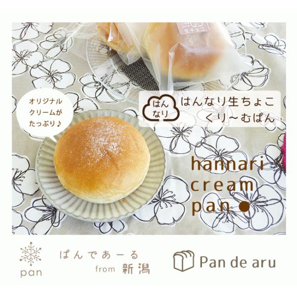 パンセット はんなり 生クリームパン 3種９コセット 冷凍パン 手作りパン 送料無料 Buyee Buyee Japanese Proxy Service Buy From Japan Bot Online