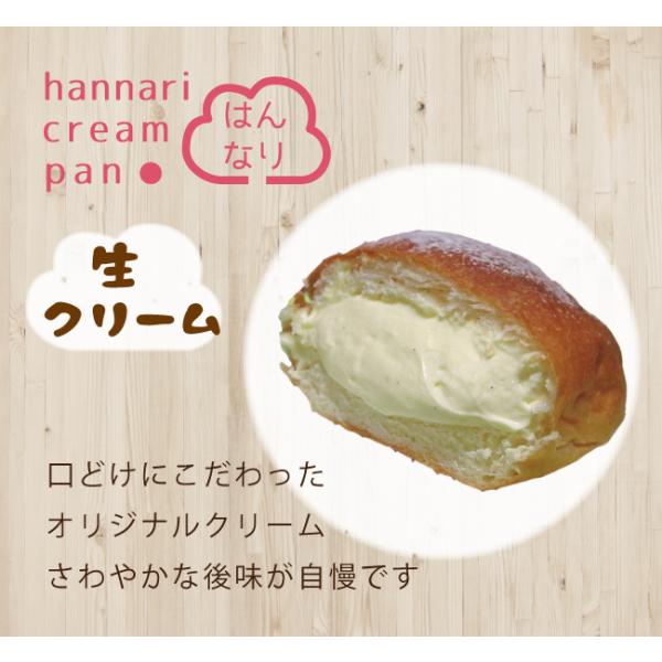 パンセット はんなり 生クリームパン 3種９コセット 冷凍パン 手作りパン 送料無料 Buyee Buyee Japanese Proxy Service Buy From Japan Bot Online