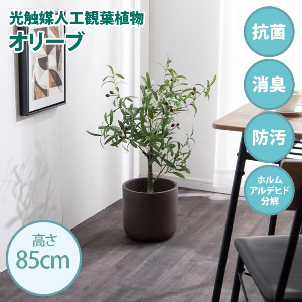 光触媒人工観葉植物 fake green オリーブ (約)幅35cm×奥行35cm×高さ85cm 照明光で消臭・抗菌・防汚・ホルムアルデヒド分解の効果を発揮 フェイクグリーン