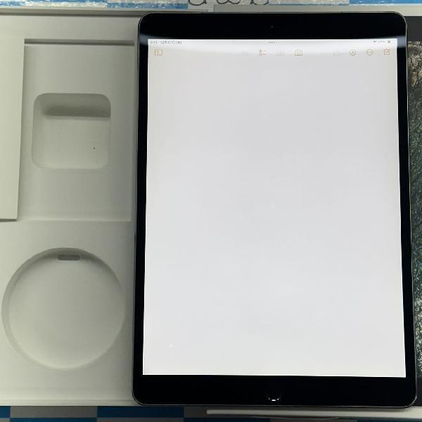 iPad Pro 10.5インチ 64GB au版SIMフリー バッテリー85% 訳あり品 中古