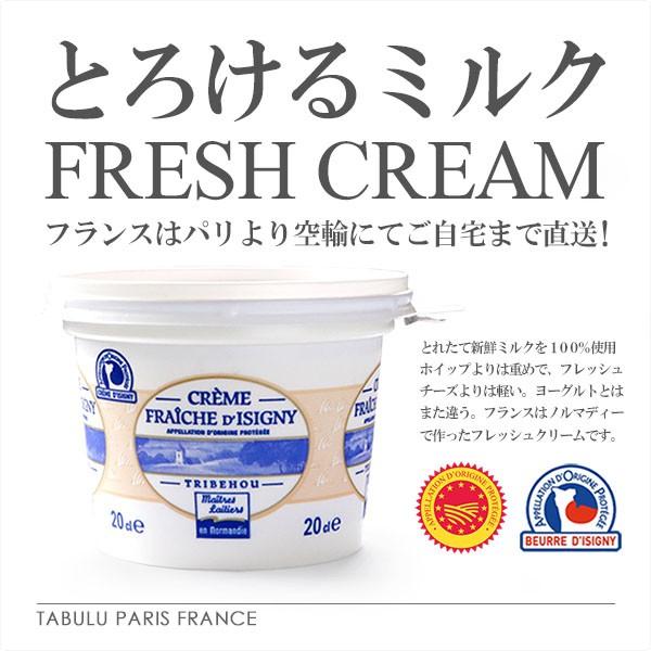 フレッシュクリーム 生クリーム 内容量 0ml トリベオウ イズニー Aop Tbl Ml10 ハイ食材室paris 通販 Yahoo ショッピング
