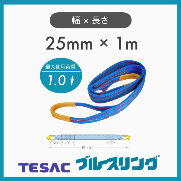 1本 TESAC テザック ブルースリング スリングベルト JIS4等級 4E 巾25mm×1m 最大使用荷重1.0t