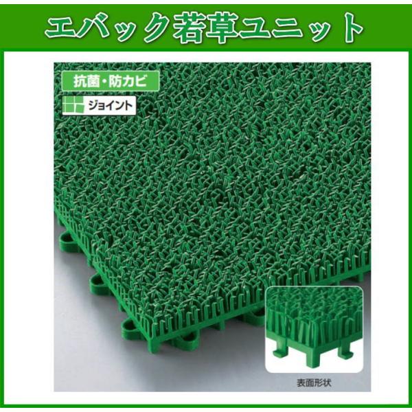 WCg^CfbL GobNᑐjbg@ƖplHŁ@F-53-HK@{