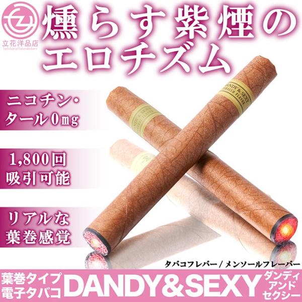 電子タバコ 葉巻タイプ 電子たばこ 使い捨て電子タバコ Dandy Sexy 禁煙グッズ ニコチン0mg タール0mg メンテナンス不要 Hz Ech001 立花洋品店 通販 Yahoo ショッピング