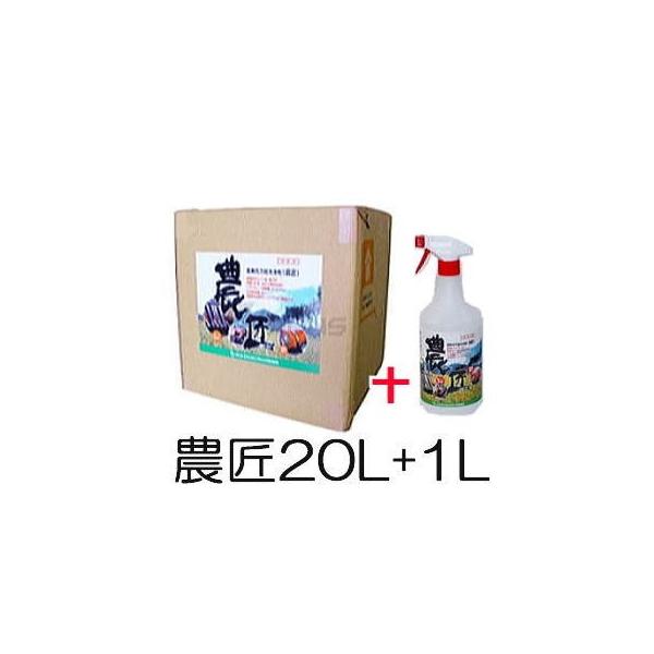 (p20L+1LZbg) _@ \ _ ̂傤 TGXGWjAO