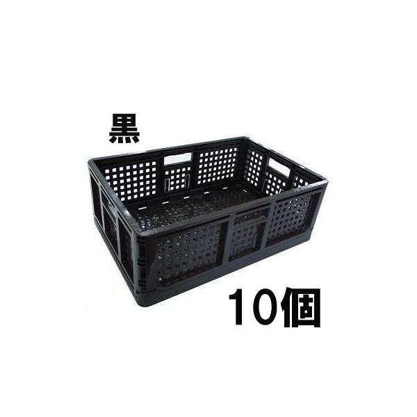 (10Zbg) AZ J[܂肽݃Rei[  ܂݃Rei { S (@l/l I)@