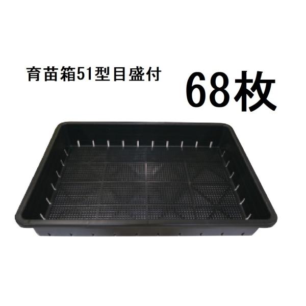 育苗箱 200枚セット) 稚苗用育苗箱 76穴 水稲用 内寸580×280×30 (法人個人選択