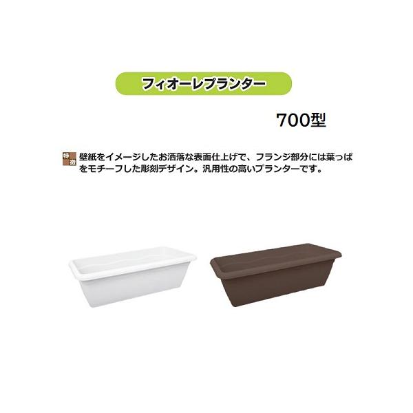 tackey_anze5019