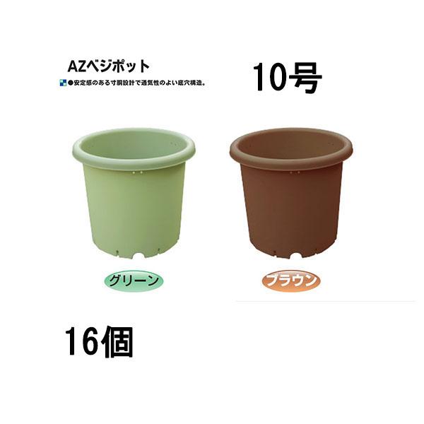 特別価格　新品　未使用　日本製　高級オイルコードバン　RF小銭入れ　グリーン 楽天市場】【10%offクーポン】二つ折り財布 レディース コード