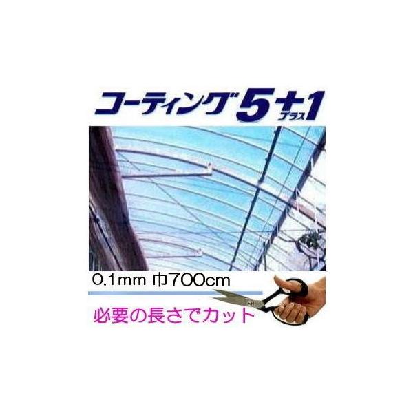 【北海道旭川市 直接取引限定】タキロンシーアイ 農業用POフィルム シーアイPO コーティング5+1 天井当用 未使用品 農業用ハウス 農家 補修用 タキロンシーアイ カット販売 農POフィルム コーティング5＋1UV プラス