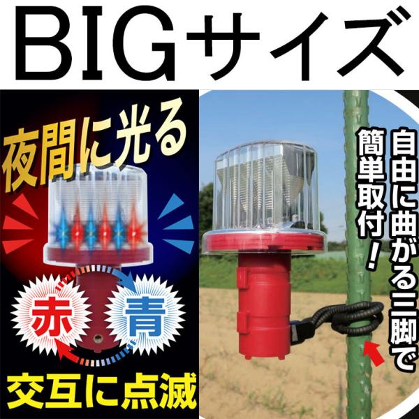 \[[hbCg DLS-BL001 Ort LEDCg CmVV 