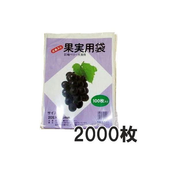 (2000) ʎ| ʎ () 205×295mm x[[p 100×20 jt _ CNK |@llI