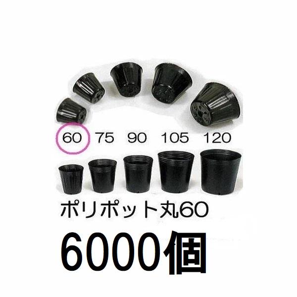 中部農材 (6000個セット特価) ポリポット 6cm ポリ鉢 丸型ポット 黒丸