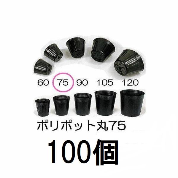 100個入) ポリポット 7.5cm (ノーマルポット) ポリ鉢 黒丸 75 底穴1