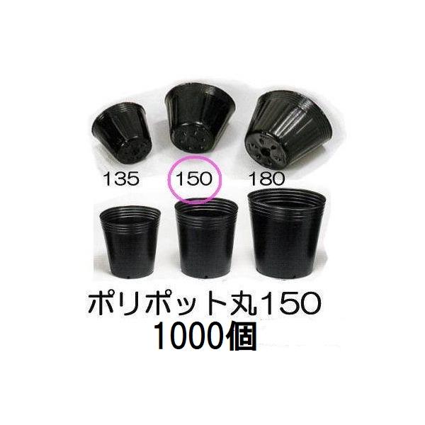 中部農材 (1000個入特価) ポリポット 15cm ポリ鉢 丸型ポット 黒丸 150