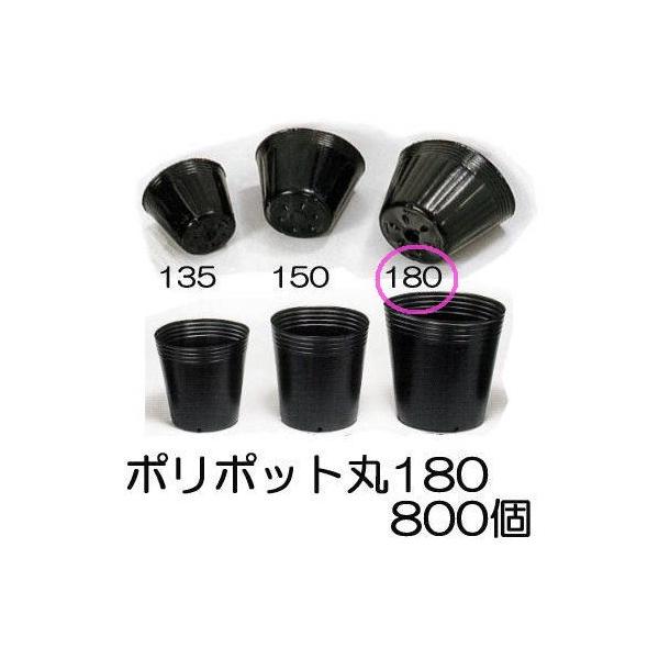 ポリポット 18cm」の人気商品一覧 | 安い商品を通販サイトから
