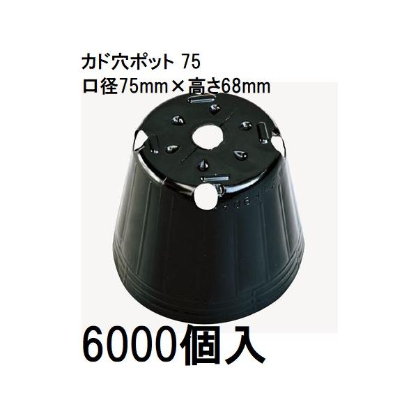 ポリポットの通販 価格比較 価格 Com