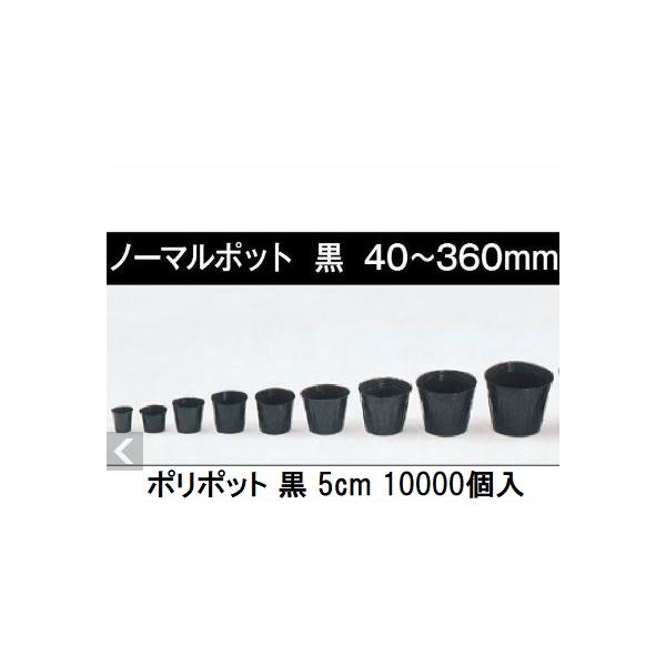 10000個入特価) ポリポット 5cm ポリ鉢 丸型ポット 黒丸 50 底穴1 口径