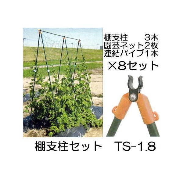 菜園シリーズ (8セット特価) つるもの用 棚支柱セット TS-1.8