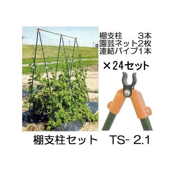 徳用8セット×3ケース) つるもの用 棚支柱セット TS-2.1 (2.1m) ×24