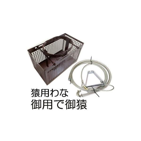 pŌ䉎 pł p ߊl 쎮 C[ ߊl