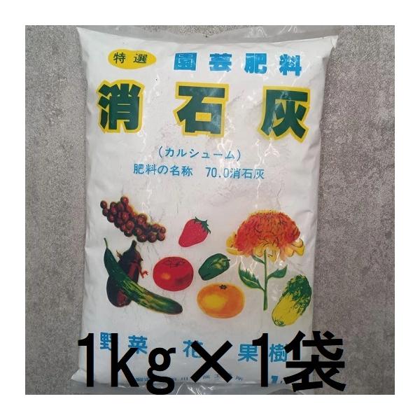 消石灰 1kg (zs4) : ザ・タッキーYahoo!店 - 通販 - Yahoo!ショッピング