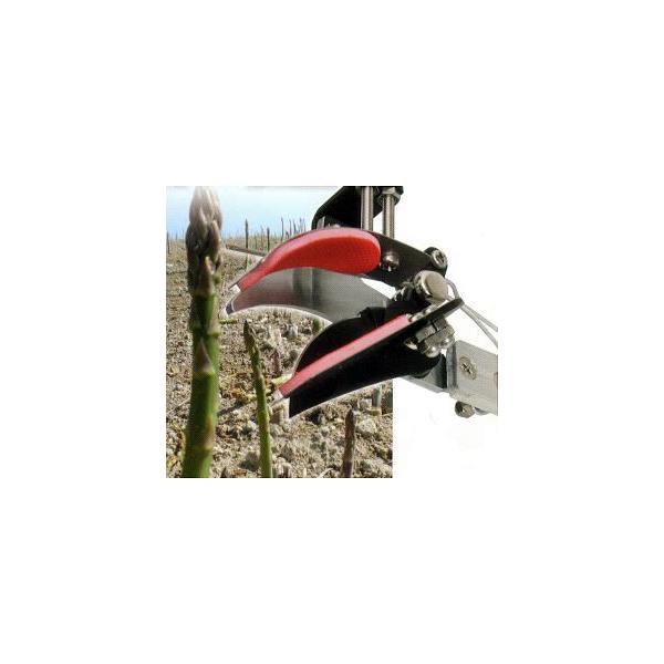 hEJ AXpn AXpLb` DK-2000 (AXp Aeit)