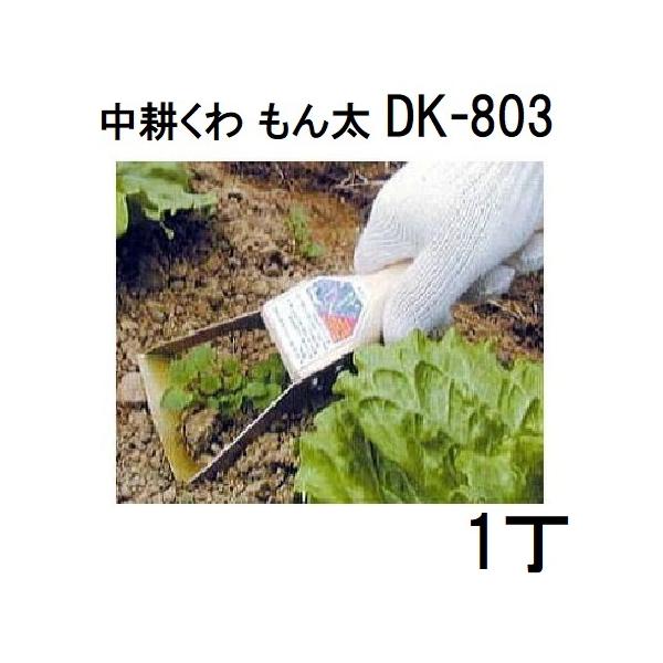 ドウカン 下刃と上刃の 門型 中耕くわ もん太 DK-803 (手クワ 中耕鍬