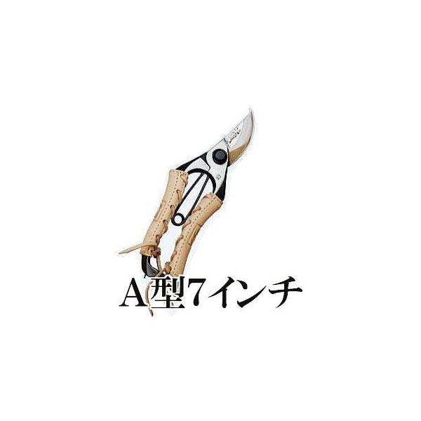 ̋`n {vV[Y TS096 `^  7C` ~ TS-096 ݂⑺ ([֓)@koim