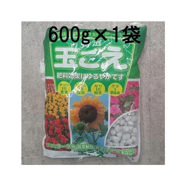 玉ごえ 600g 玉肥 ホワイトボール 観葉植物に プランターに (ネコポス